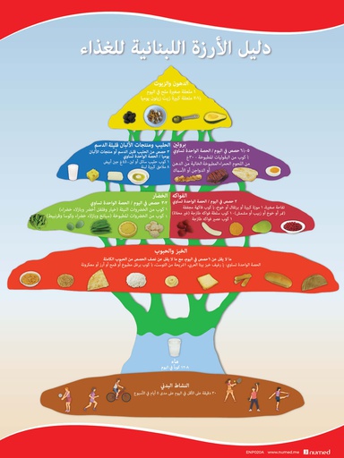 [ENP020A] Cedar Dietary Guidelines Poster