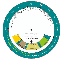 [ABW001P200] BMI Wheel Ruler, Pack of 200