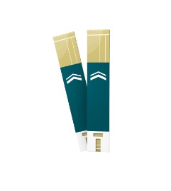 [ADEBCPLAGLU] LipidoCare Blood Glucose test strips